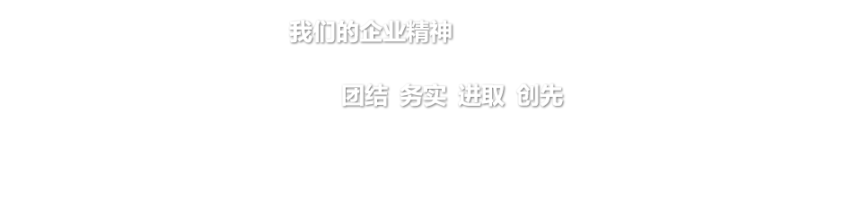 我們的企業精(jīng)神:團結 務(wù)實 進取 創先